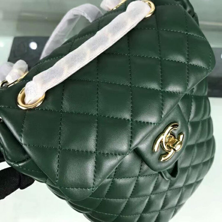 2019 Chanel Backpack