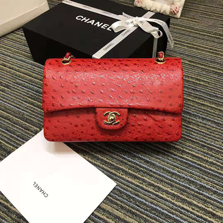 2019 Chanel Classic Flap Bag