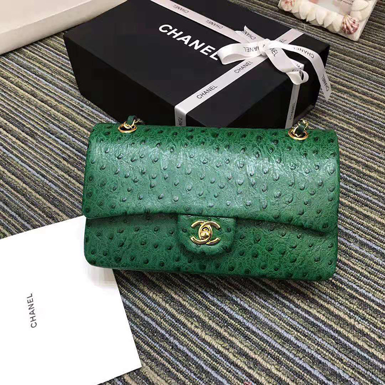 2019 Chanel Classic Flap Bag