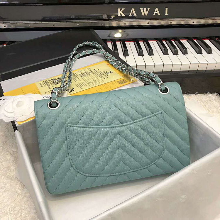 2019 Chanel Classic Flap Bag