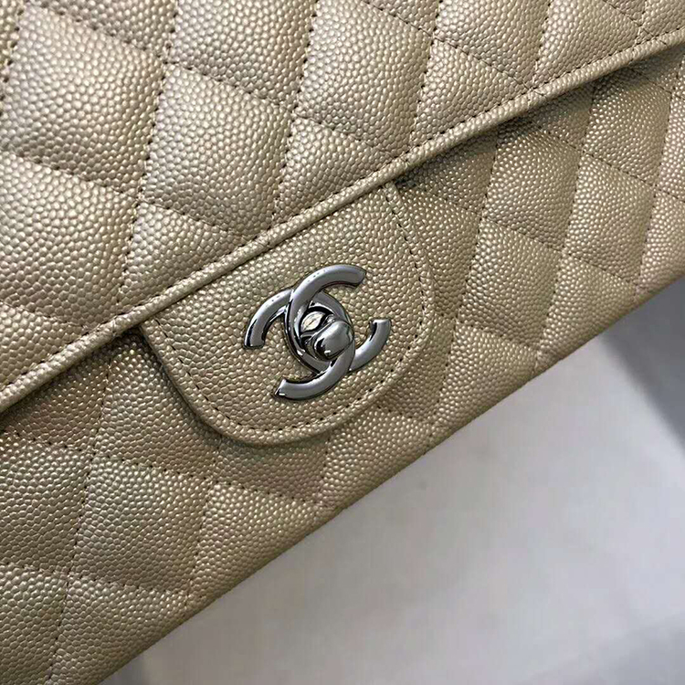 2019 Chanel Classic Flap Bag