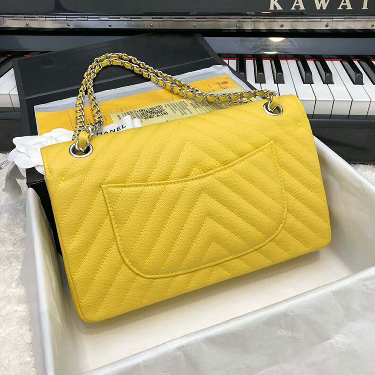 2019 Chanel Classic Flap Bag