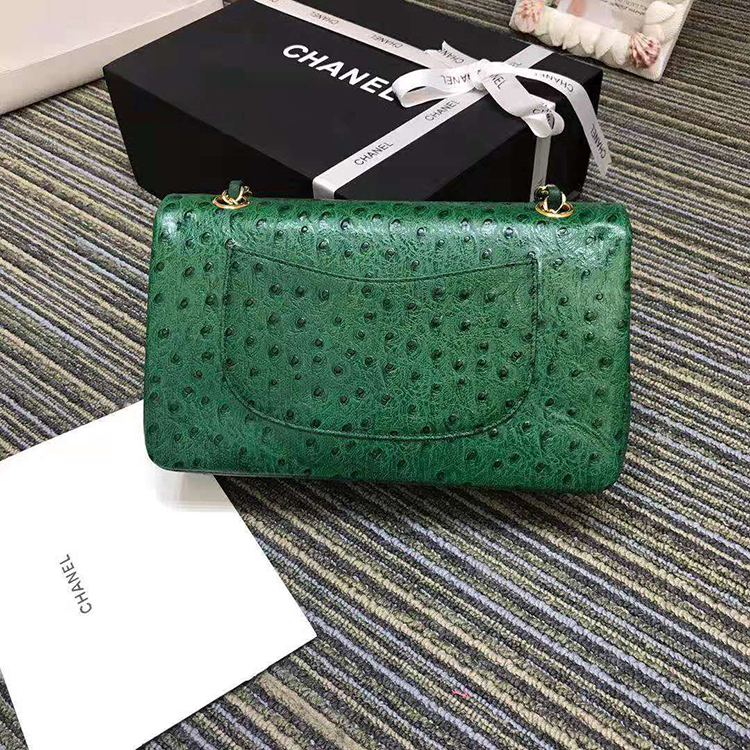 2019 Chanel Classic Flap Bag