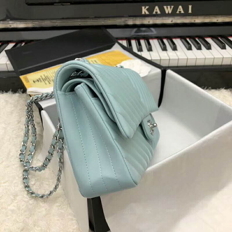 2019 Chanel Classic Flap Bag