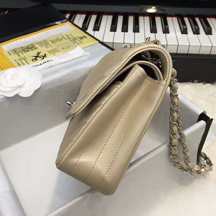 2019 Chanel Classic Flap Bag