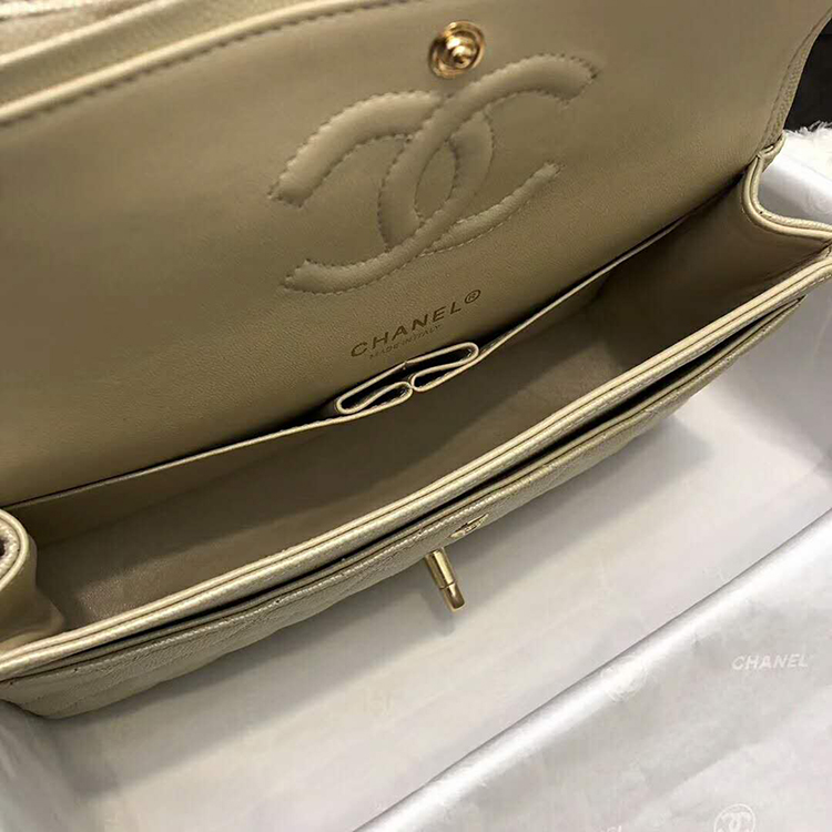 2019 Chanel Classic Flap Bag