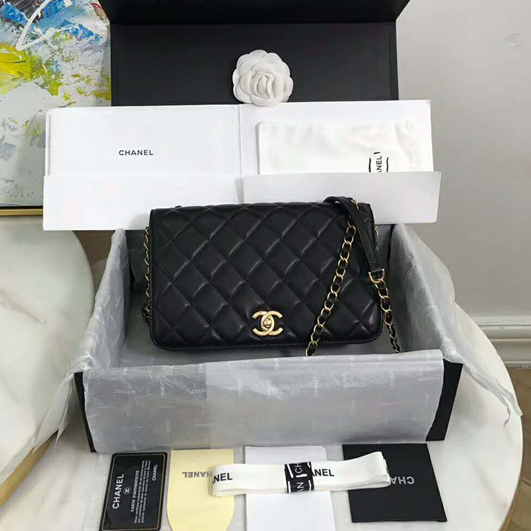 2019 Chanel Flap Bag