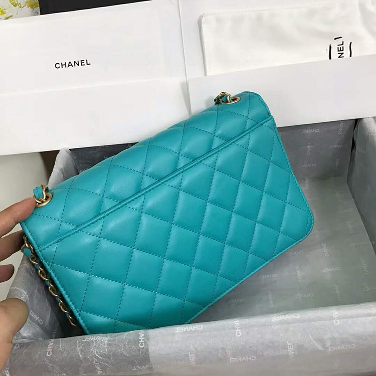 2019 Chanel Flap Bag