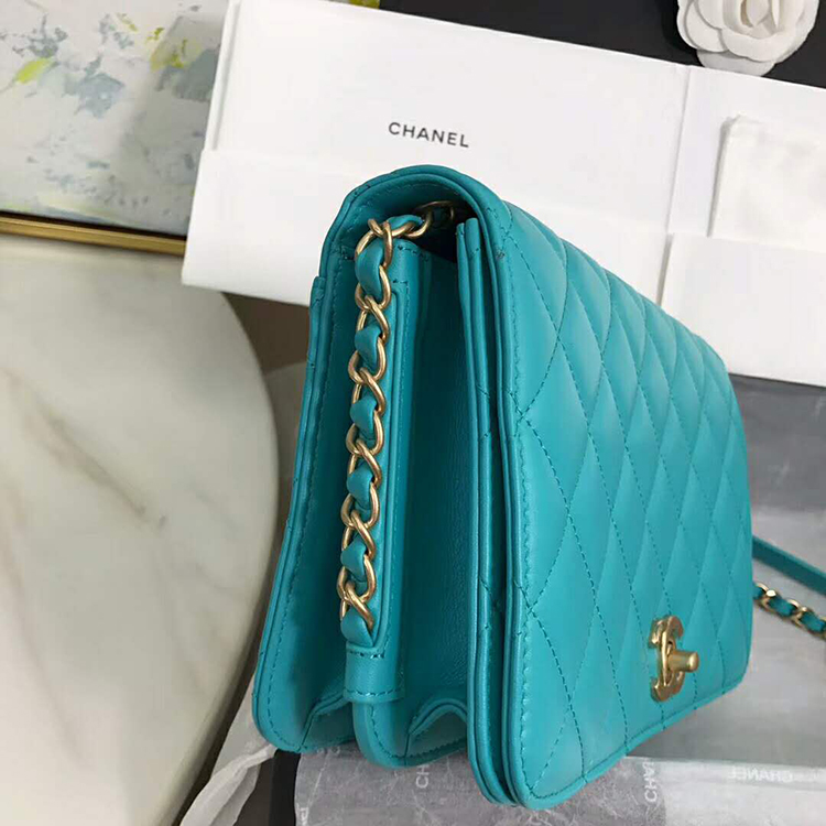 2019 Chanel Flap Bag