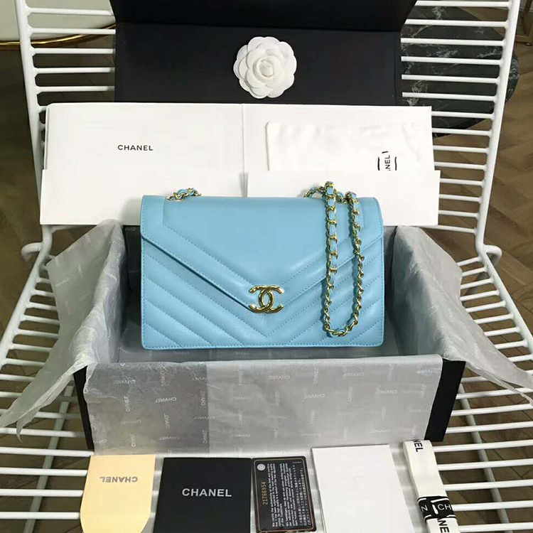 2019 Chanel Flap bag