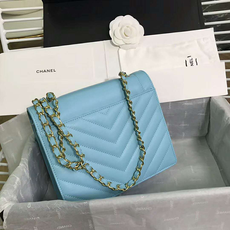 2019 Chanel Flap bag