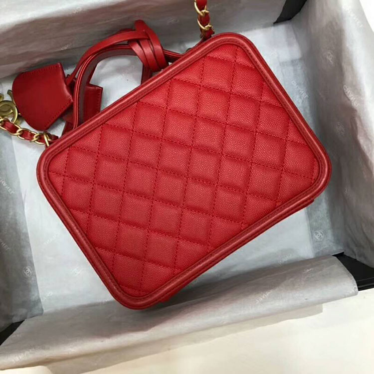 2019 Chanel Large Vanity Case