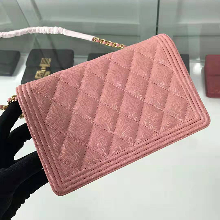 2019 Chanel Leboy WOC bag