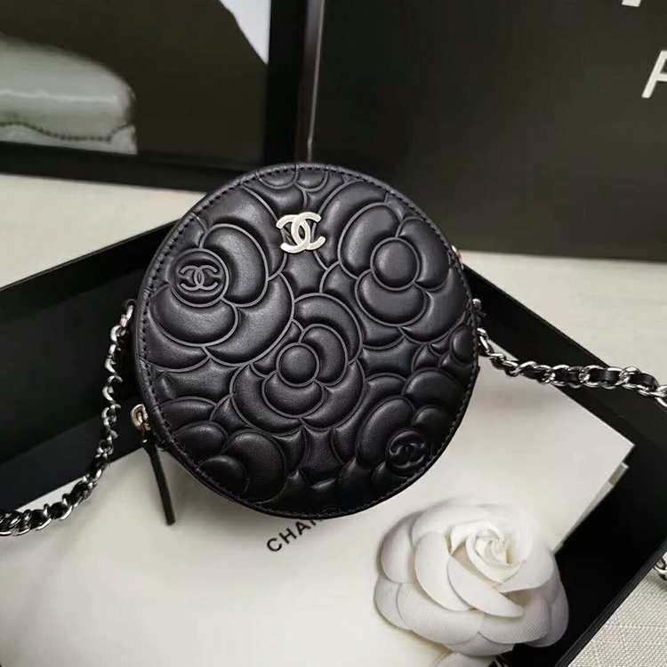 2019 Chanel Minaudiere