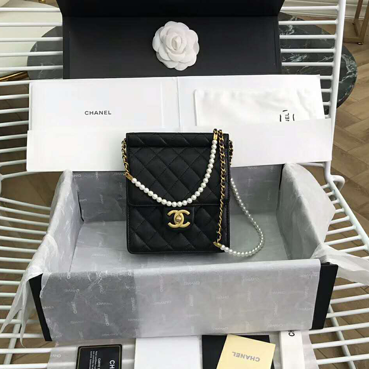 2019 Chanel Mini Flap