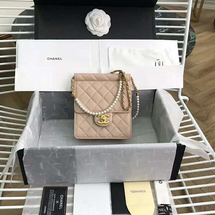 2019 Chanel Mini Flap