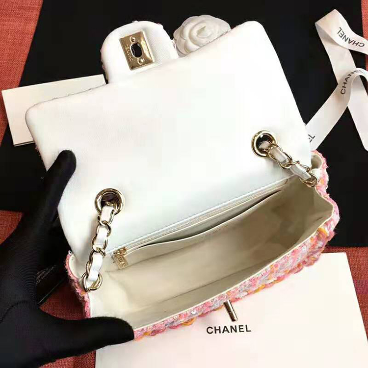 2019 Chanel Mini Flap Bag