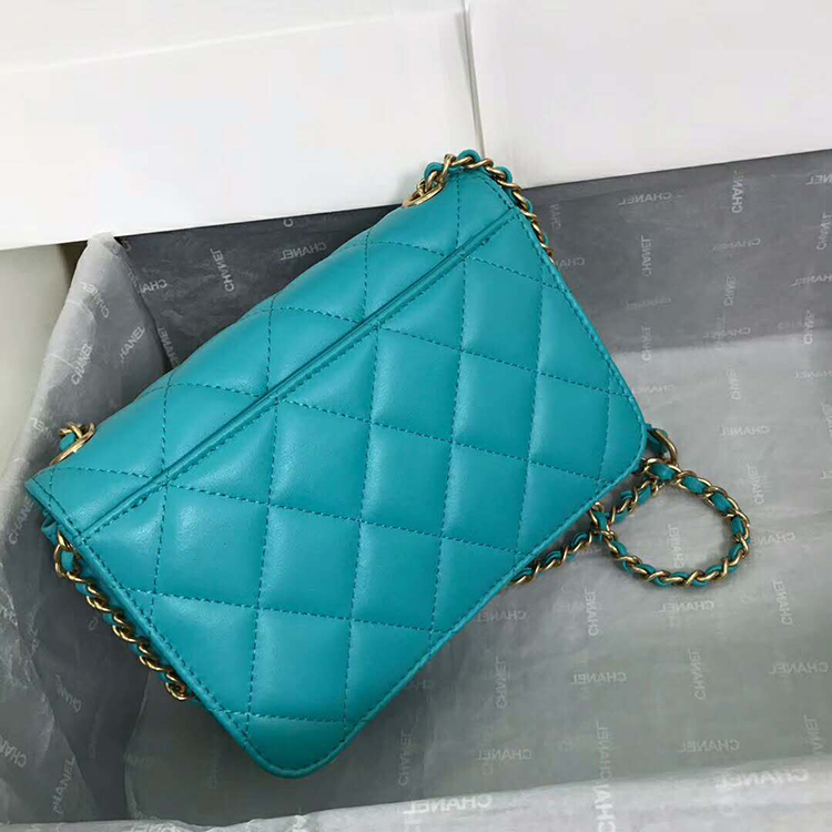 2019 Chanel Small Flap Bag