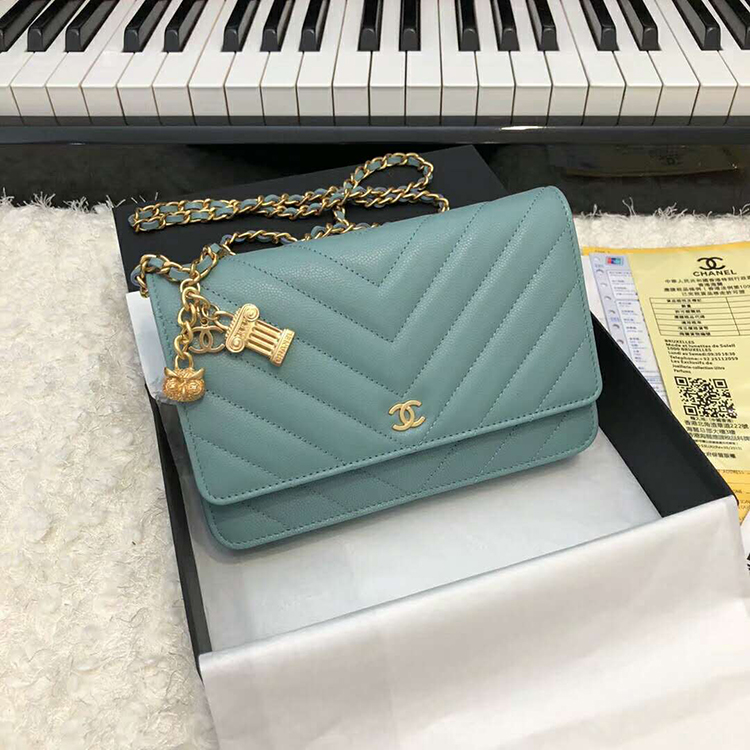 2019 Chanel WOC A33814 Mini Flap Bag