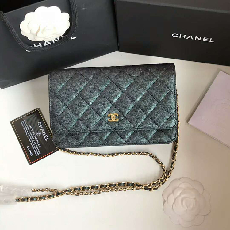 2019 Chanel WOC A33814 Mini Flap Bag