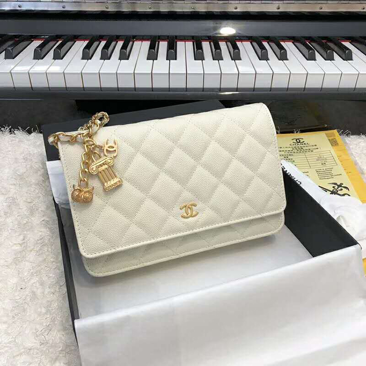 2019 Chanel WOC A33814 Mini Flap Bag