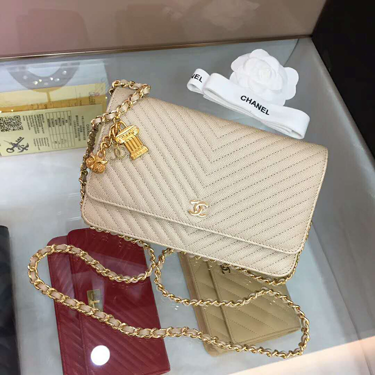 2019 Chanel WOC A33814 Mini Flap Bag