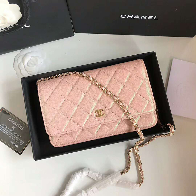 2019 Chanel WOC A33814 Mini Flap Bag