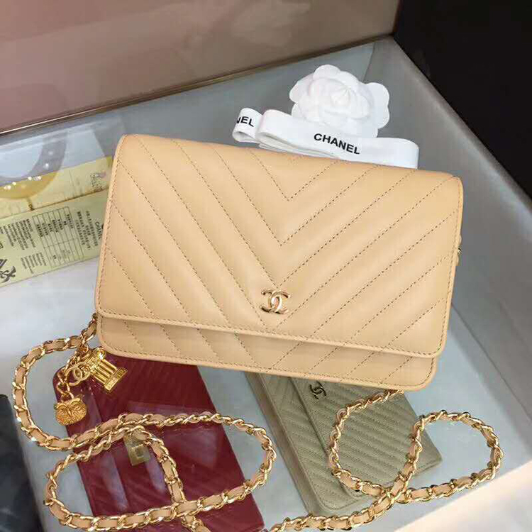 2019 Chanel WOC A33814 Mini Flap Bag