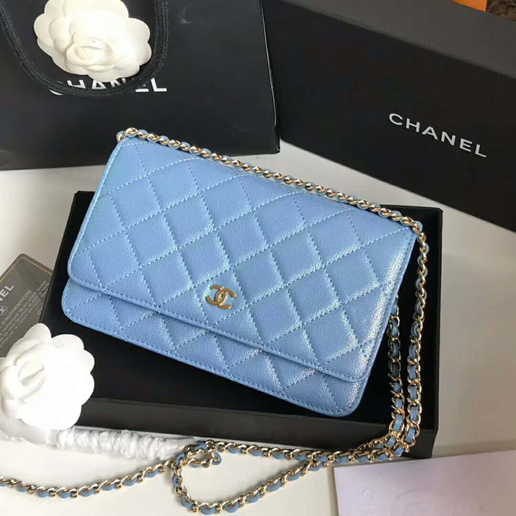 2019 Chanel WOC A33814 Mini Flap Bag