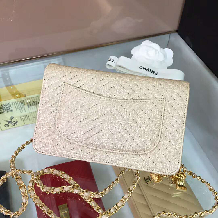 2019 Chanel WOC A33814 Mini Flap Bag