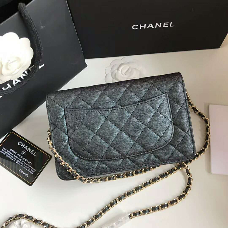 2019 Chanel WOC A33814 Mini Flap Bag