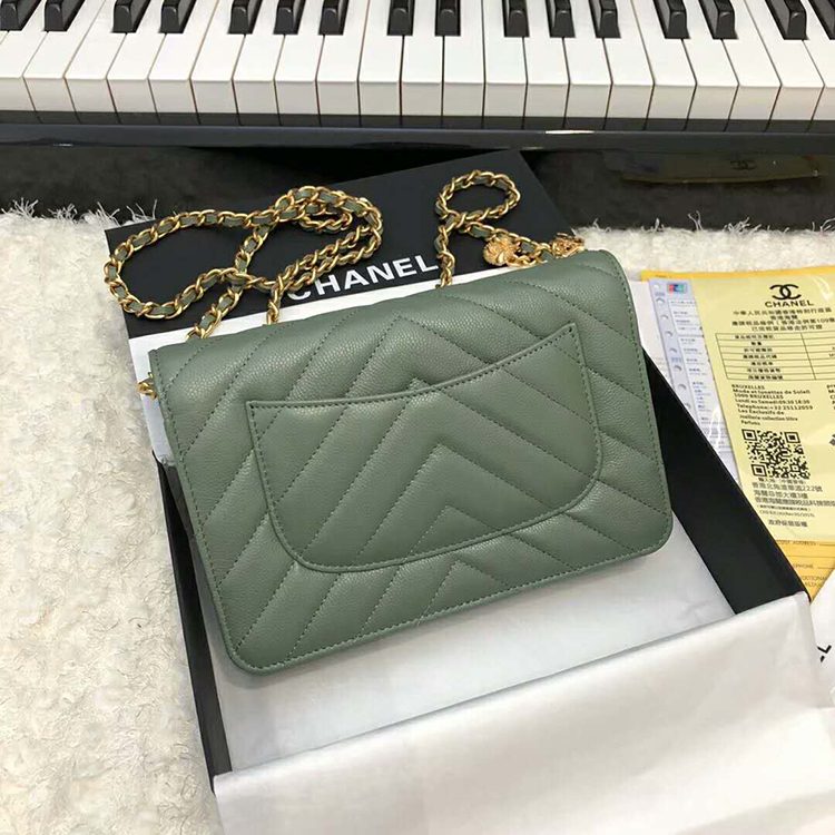 2019 Chanel WOC A33814 Mini Flap Bag