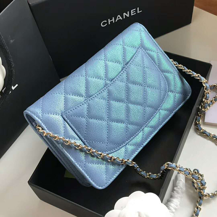 2019 Chanel WOC A33814 Mini Flap Bag