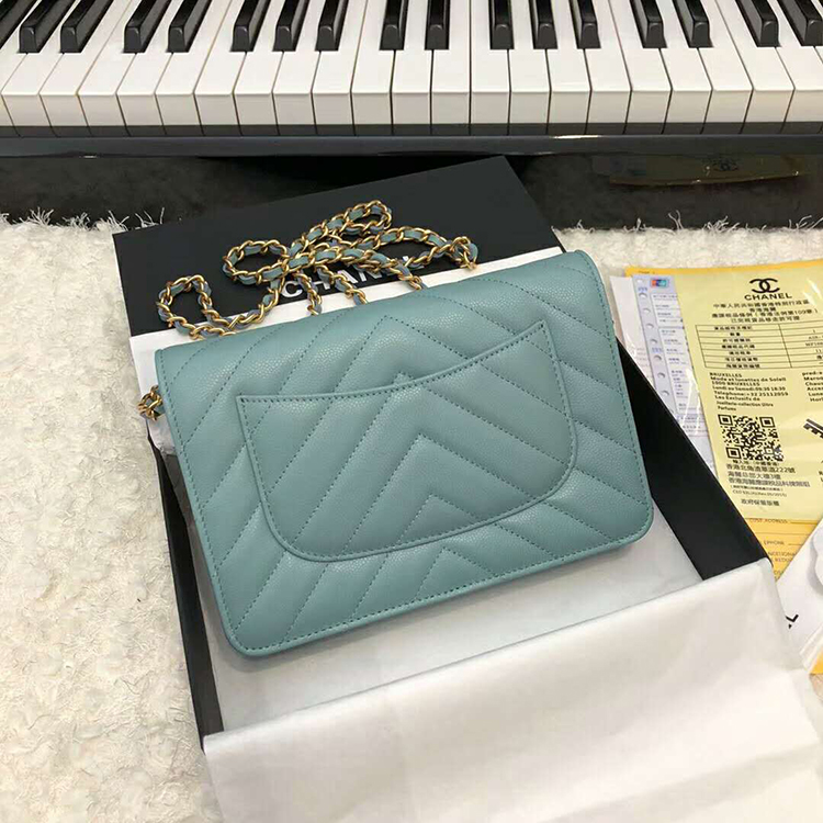 2019 Chanel WOC A33814 Mini Flap Bag