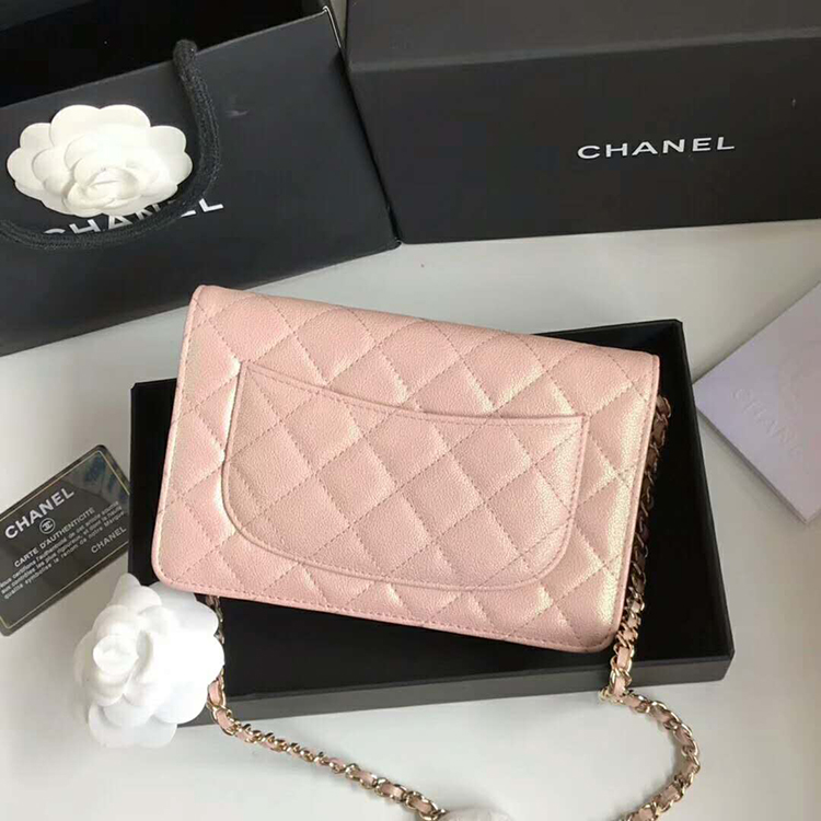 2019 Chanel WOC A33814 Mini Flap Bag