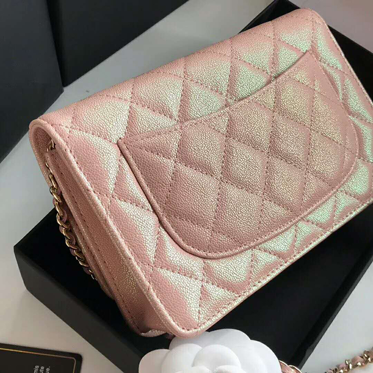 2019 Chanel WOC A33814 Mini Flap Bag