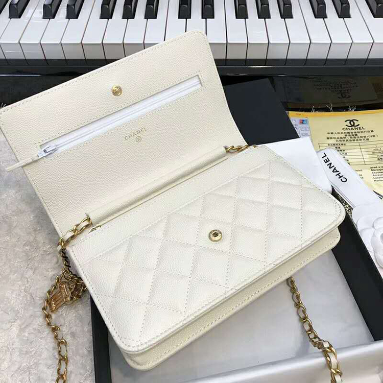 2019 Chanel WOC A33814 Mini Flap Bag