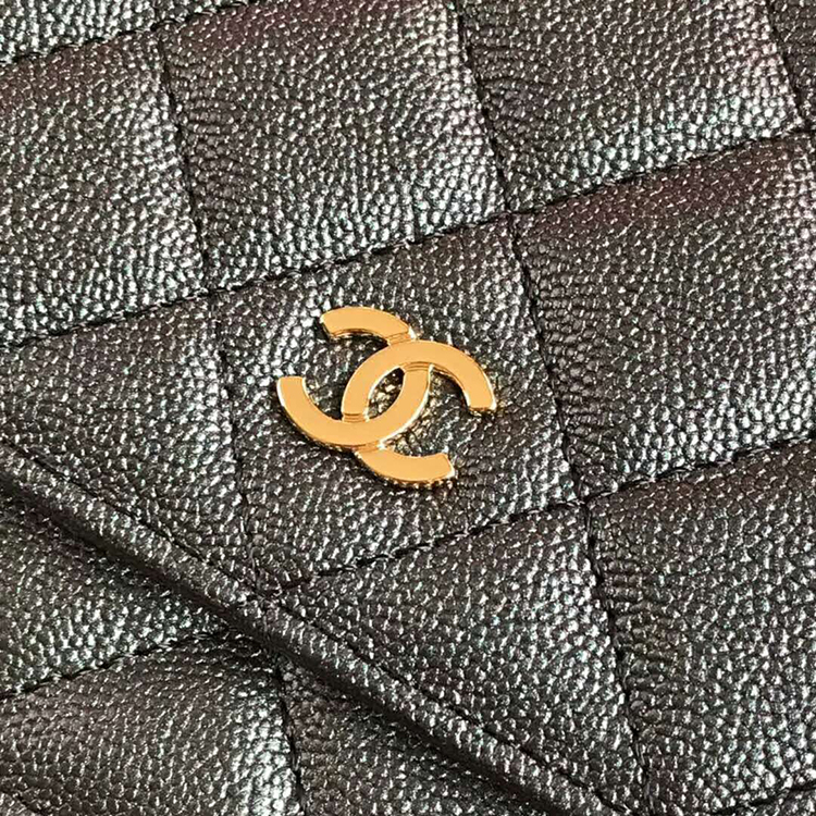 2019 Chanel WOC A33814 Mini Flap Bag