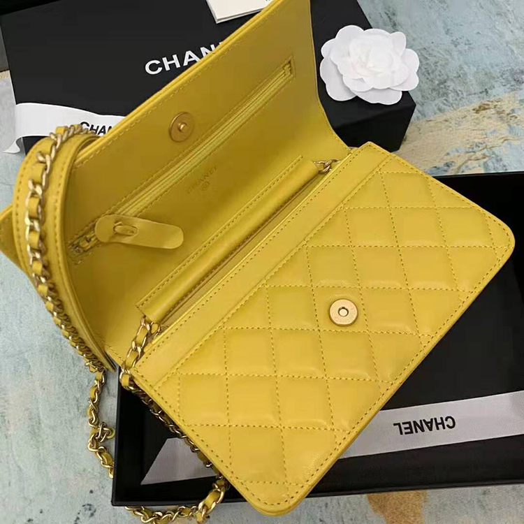 2019 Chanel WOC A33814 Mini Flap Bag