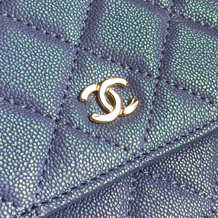 2019 Chanel WOC A33814 Mini Flap Bag