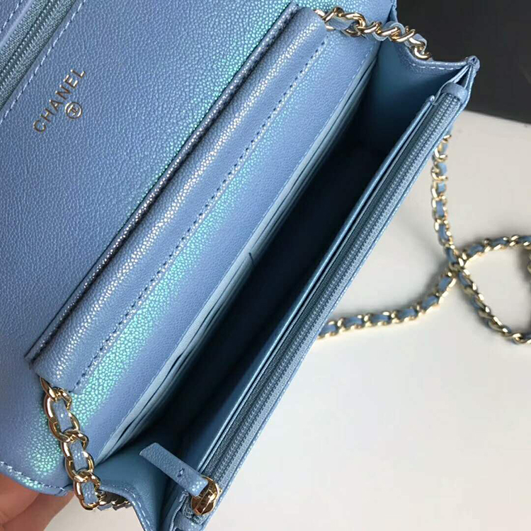 2019 Chanel WOC A33814 Mini Flap Bag