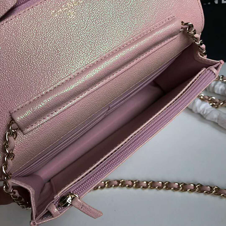 2019 Chanel WOC A33814 Mini Flap Bag