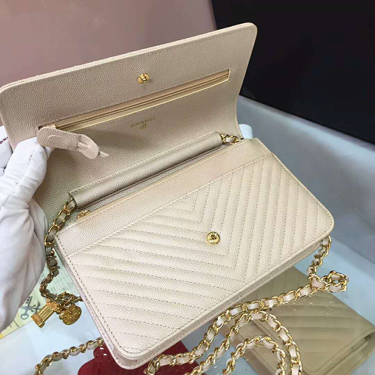 2019 Chanel WOC A33814 Mini Flap Bag