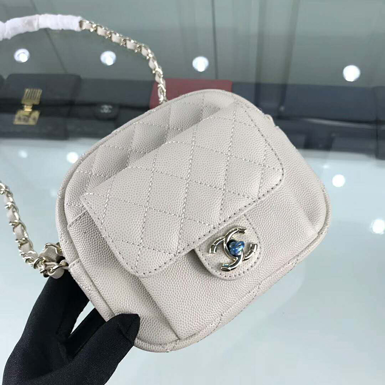 2019 Chanel camera case