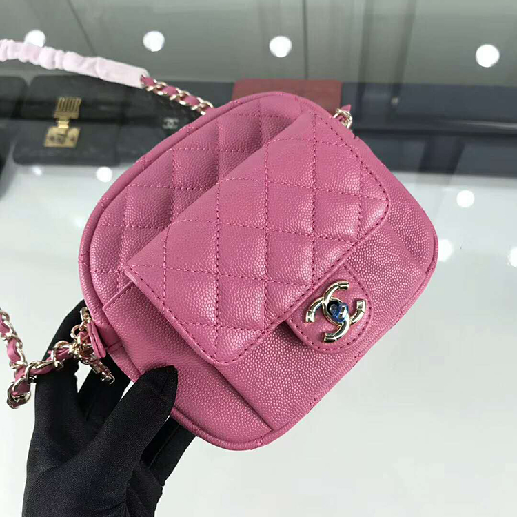 2019 Chanel camera case