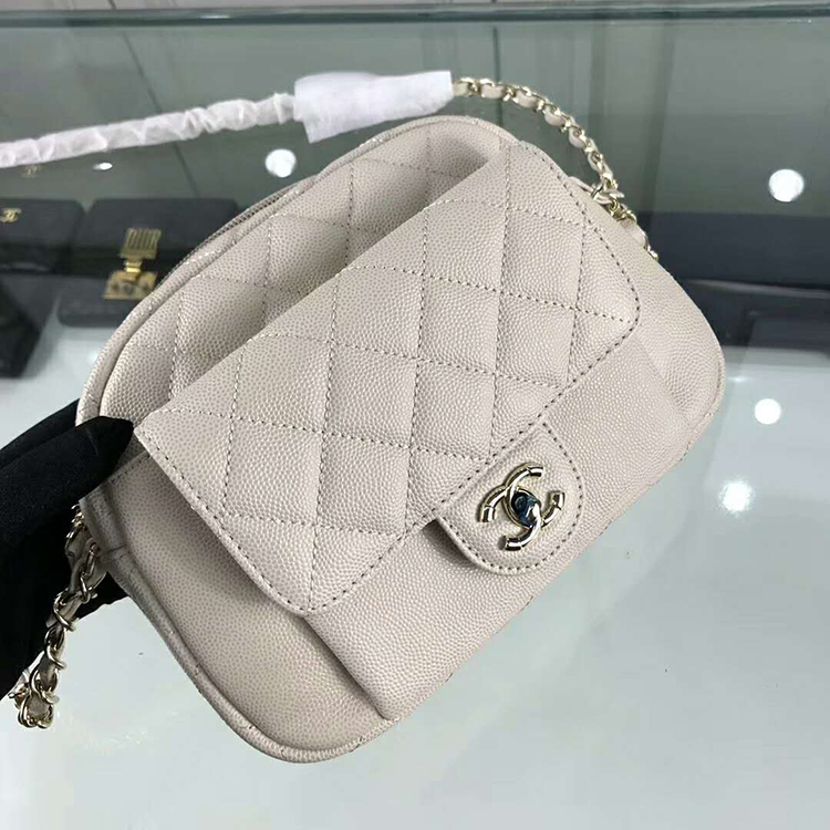 2019 Chanel camera case