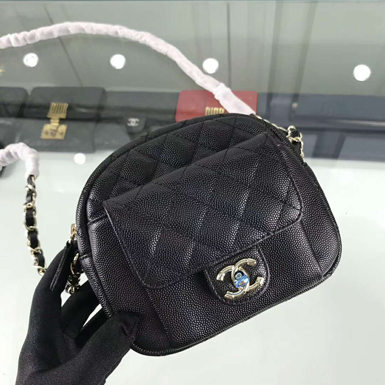 2019 Chanel camera case