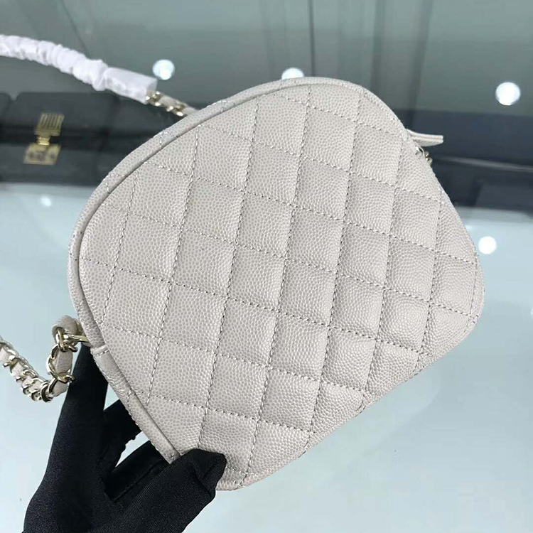 2019 Chanel camera case