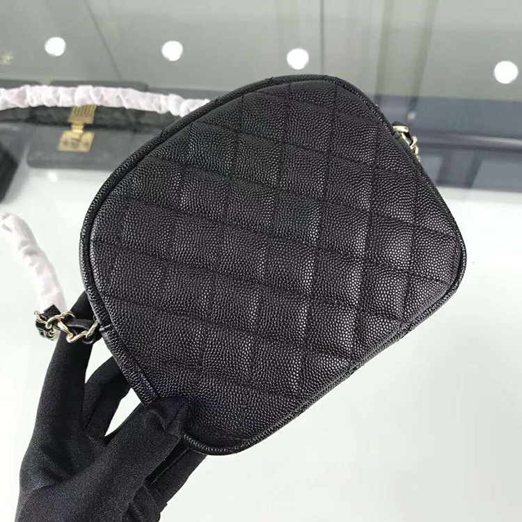 2019 Chanel camera case