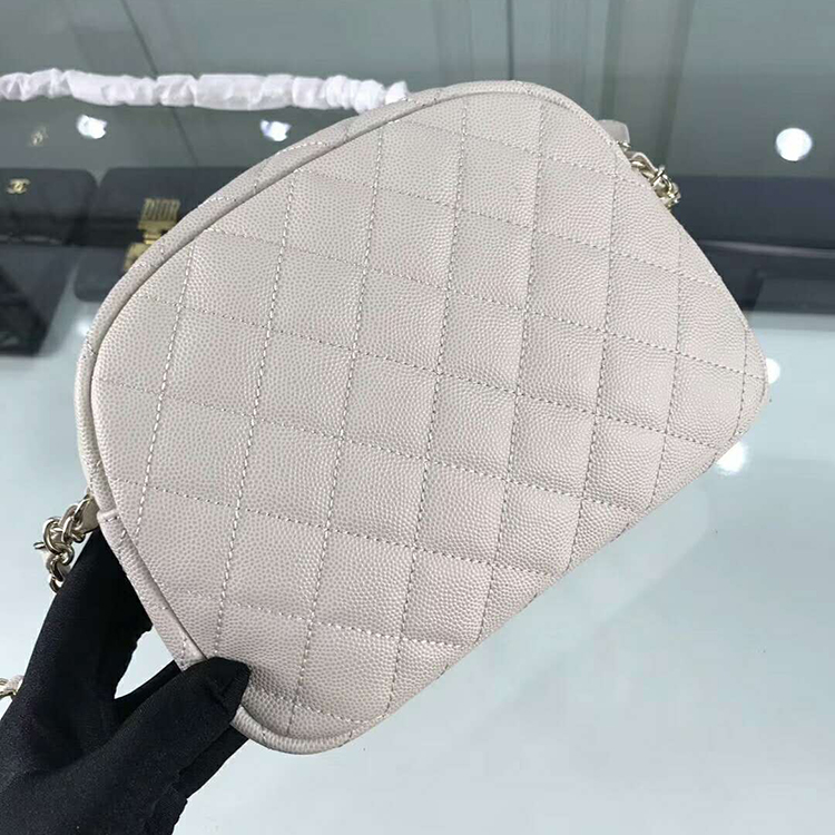 2019 Chanel camera case